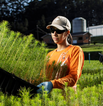 mulher com plantas